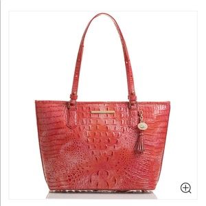 Brahmin Asher Tote
